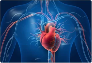 10 Early Warning Signs of Heart Disease You Should Never Ignore